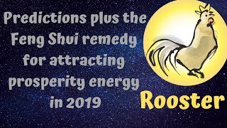 Rooster natives Financial Success is Growing - predictions Chinese Astrology 2019 Horoscope