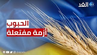 باحث: أزمة الحبوب مفتعلة من أوكرانيا والغرب للضغط على روسيا