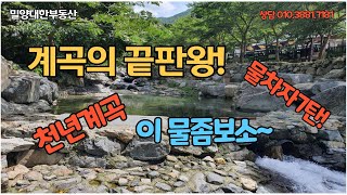 (가격2000만원인하)매물36.밀양단장면 구천리 관광명소의 숨은 계곡의끝판왕#밀양부동산매매#밀양토지매매#밀양전원주택지#밀양사과밭#밀양촌집매매#밀양공인중개사