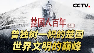 系统性讲述楚国800年波澜壮阔的历史！以其奇谲瑰丽的文物解读楚国灿烂辉煌的文明 以其盛衰荣枯的历史揭示历史背后值得深思的规律【CCTV纪录】