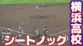 場内が笑いに包まれ試合前から盛り上がる　横浜高校　シートノック　【 東海大相模 vs 横浜高校 　秋季神奈川大会　準決勝】2023.9.30　高校野球