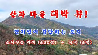 탄성나오는 뷰!  먼산과 마을 조망 소나무숲 아래(630평)+농막(6평)강원도평창봉평진부부동산전원농가주택시골집펜션부지토지땅매매물공인중개사