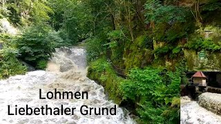 Lohmen Liebethaler Grund Daubemühle  Wesenitz Hochwasser Sächsische Schweiz Elbsandsteingebirge