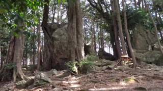 渭伊神社の上にある天白磐座遺跡