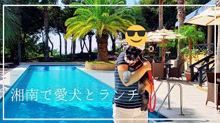 素敵なテラス席で愛犬と一緒にランチ