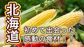 前半のおすすめ【北海道物産大会】おすすめ商品を紹介するLIVE配信番組「これ、ええや～ん！！」【モッパン】