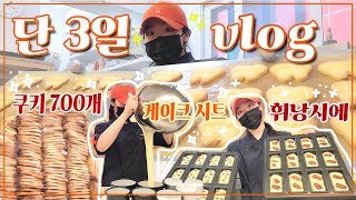 [cafe\u0026dessert vlog] 쿠키 2천개 후 700개는 껌이지 , 3일동안 많은 걸 한 대구 20대 사장 1인 디저트샵 브이로그