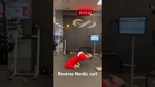 Reverse Nordic Curl