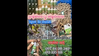 ប្រម៉ូសិនបញ្ចុះតម្លៃពិសេសមិនធ្លាប់ពីមុន\\0976408340ឈុតបំផ្ទុះមើមដំឡូងវីផ្លេនតានិងអាយមេក