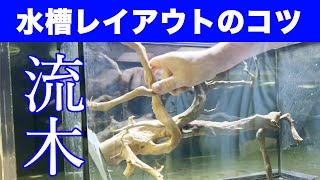 水槽レイアウト の 基本 ② 流木 の 配置 熱帯魚 が 引き立つ 水槽 作り