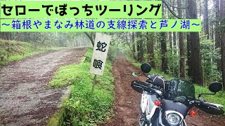 【静岡県神奈川県】セローでぼっちツーリング【赤土のモノレール】　～箱根やまなみ林道の支線探索と芦ノ湖に行ったよ～