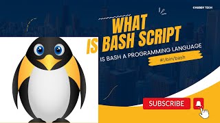 Is Bash Script A Programming Language ?