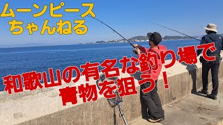 和歌山の有名な釣り場で朝から３人で青物を狙う！