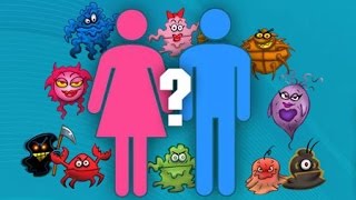 What should I do if I think I have an STI?