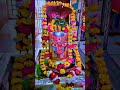 shree Pandeshwar nath shivalay farrukhabad Aarti 18,02,2024