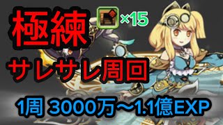 【ランク上げ】極練の闘技場周回 サレサレダンボ15【パズドラ】