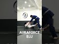 jiujitsu bjj 주짓수기술 주짓수 주짓수하는남자 운동하는남자 주짓수하는여자 운동하는여자 주짓수하는여자