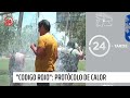 Primer protocolo regional ante el calor extremo | 24 Horas TVN Chile