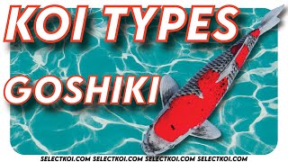 Koi Types   GOSHIKI