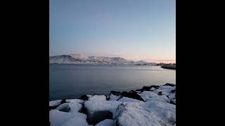 レイキャビク🇮🇸アイスランド🇮🇸