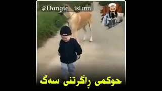 حـوکـمـی ڕاگـرتـنـی سـەگــ چـیــە ؟ 😳