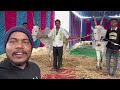 chunchanakatte jatare 2024 ಚುಂಚನಕಟ್ಟೆ ದನಗಳ ಜಾತ್ರೆ dharwad 2024 bull mysure vlog betageribulls