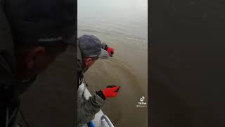 Сом ЛОМАЕТ удилище и рвет снасти😳☹ #крупняк #shorts  #fishing #fish #сом #рекомендации