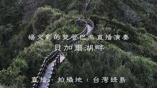 楊文彰綠島雙管巴烏直播節錄～～～貝加爾湖畔