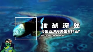 地球深处，马里亚纳海沟里有什么?