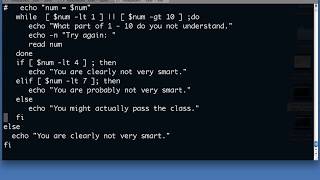 Shell scripting case statement