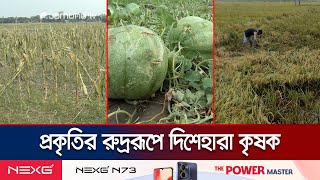 শিলাবৃষ্টিতে লণ্ডভণ্ড মুন্সিগঞ্জ ও হবিগঞ্জের কয়েকশ' হেক্টর জমির ফসল | Strom Impact | Jamuna TV