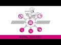 The Royal Society - What is AI? - A Cognitive Whiteboard Animation