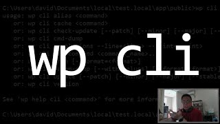 Tutorial WP-CLI: Wajib untuk WordPress Developer?