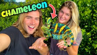 TAKING MY SISTER CHAMELEON HUNTING !