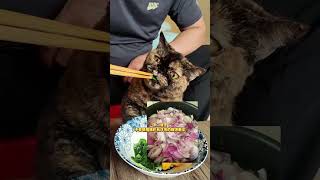 猫咪短寿都是主人喂出来的新手养猫 科学养宠攻略 萌宠好物 养宠进阶指南 宠物知识