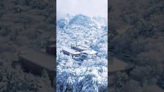 半山冬雪半生忧，一杯清茶难入喉，山后本是清静地，奈何俗人一身愁。雪景 摄影 黄山 中国风景实拍 China's landscape