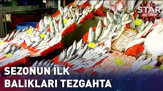 Av Sezonu Bereketli Başladı! İşte İstanbul'da Balık Tezgahları...