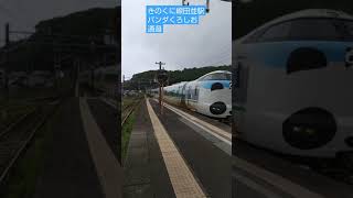 きのくに線パンダくろしお田並駅通過 (287系くろしお1号新宮行)  JapanRailway \