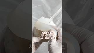 제스모나이트 테라조 미니트레이 컬러칩만들기 꿀팁👍 #취미 #diy #트레이 #제스모나이트