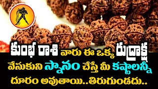 కుంభ రాశి వారు ఈ రుద్రాక్ష వేసుకుంటే మీకు ఎలాంటి కష్టం ఉన్న దూరం అవుతుంది || Rudraksha Benefits