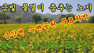 옥천군 동이면 유채꽃밭 과 차박.캠핑