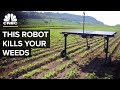 AI Helps This Robot Reduce Herbicide Use