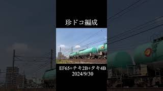 【珍ドコ編成】ジョイント音良き🫶 #shorts #shortvideo #9863レ #鉄道 #train