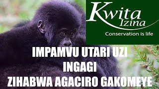 Agaciro utari uzi k' ingagi|Wari uzi ko ingagi Imwe yakubaka ibitaro by'akarere