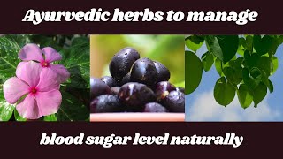 Ayurvedic herbs to manage blood sugar level naturally #shorts