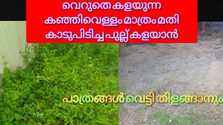 കഞ്ഞിവെള്ളത്തിൻ്റെ അൽഭുതം ശരിയ്ക്കും ഞെട്ടിച്ചു ഇനി ആരും കഞ്ഞിവെള്ളം കളയൂല്ലാ അത്രയ്ക്കും ഉപകാരം