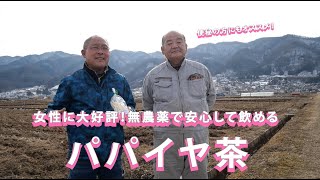 【株式会社すわファームさん】無農薬で安心して飲めるパパイヤ茶は女性のお客様からも大好評です！