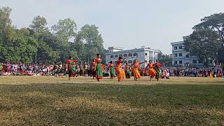 ১৬ই ডিসেম্বর মহান বিজয় দিবস-২০২১ Display :Palashbari Sm pilot Model Govt High School