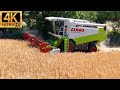 New Summer 2024 CLAAS LEXION Harvest | Cutting Acres of Wheat West Yorkshire UK