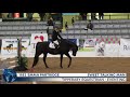 2020 thoroughbred makeover finale eventing